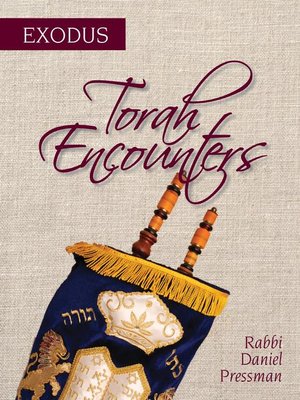 cover image of Torah Encounters